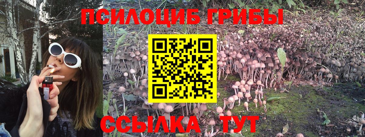Галлюциногенные грибы ЛСД  Вход с VPN  Аша 